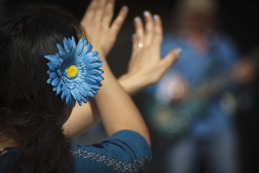 Virginia Key Grass Roots Festival Image - 2016