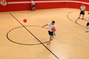 IMG 3355