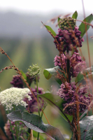 Arrangement In Geometry