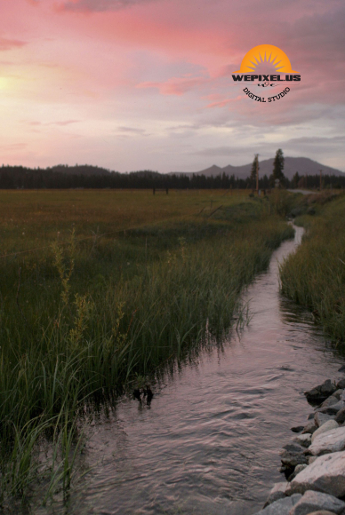 nevada nature gallery 02