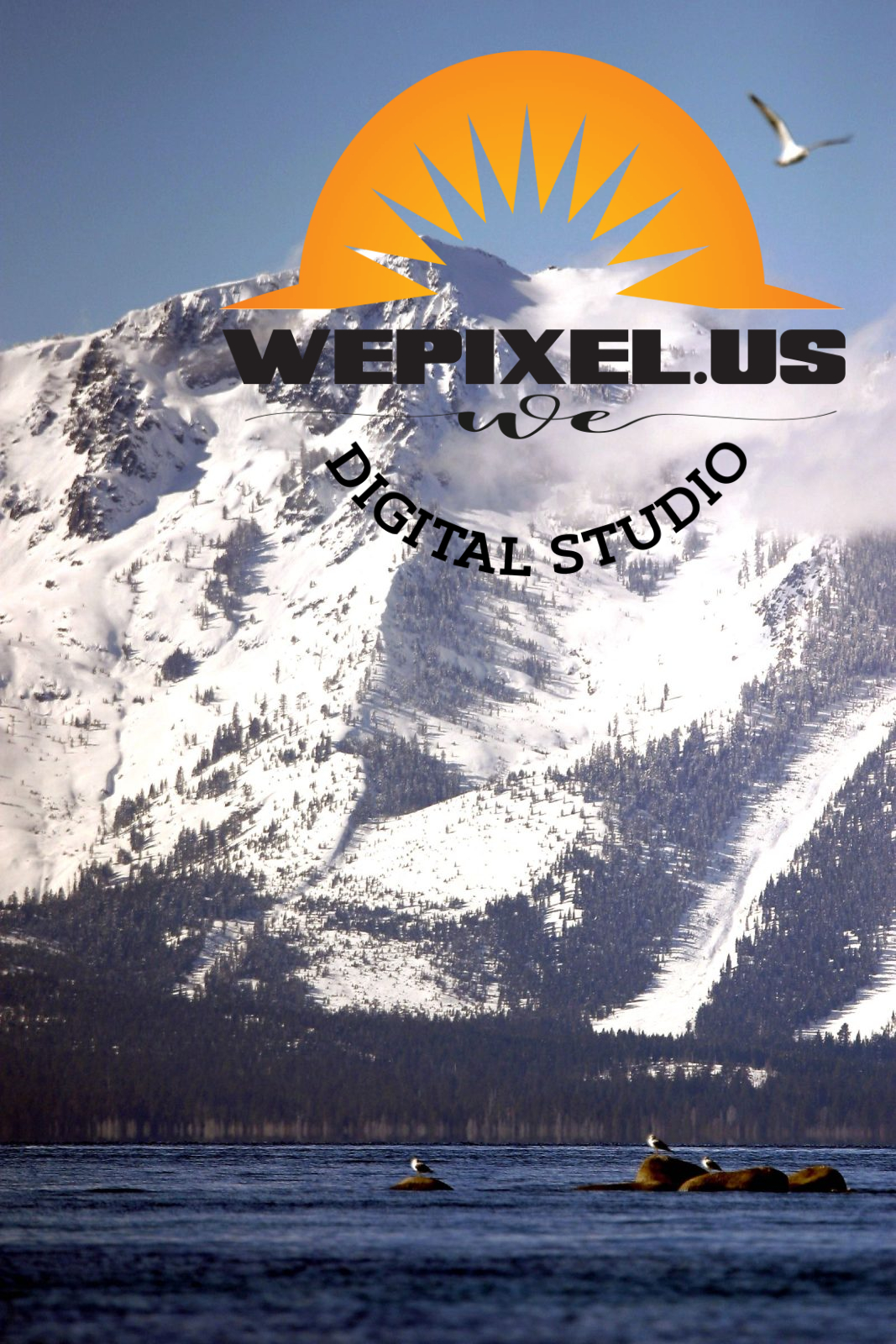 nevada nature gallery 11