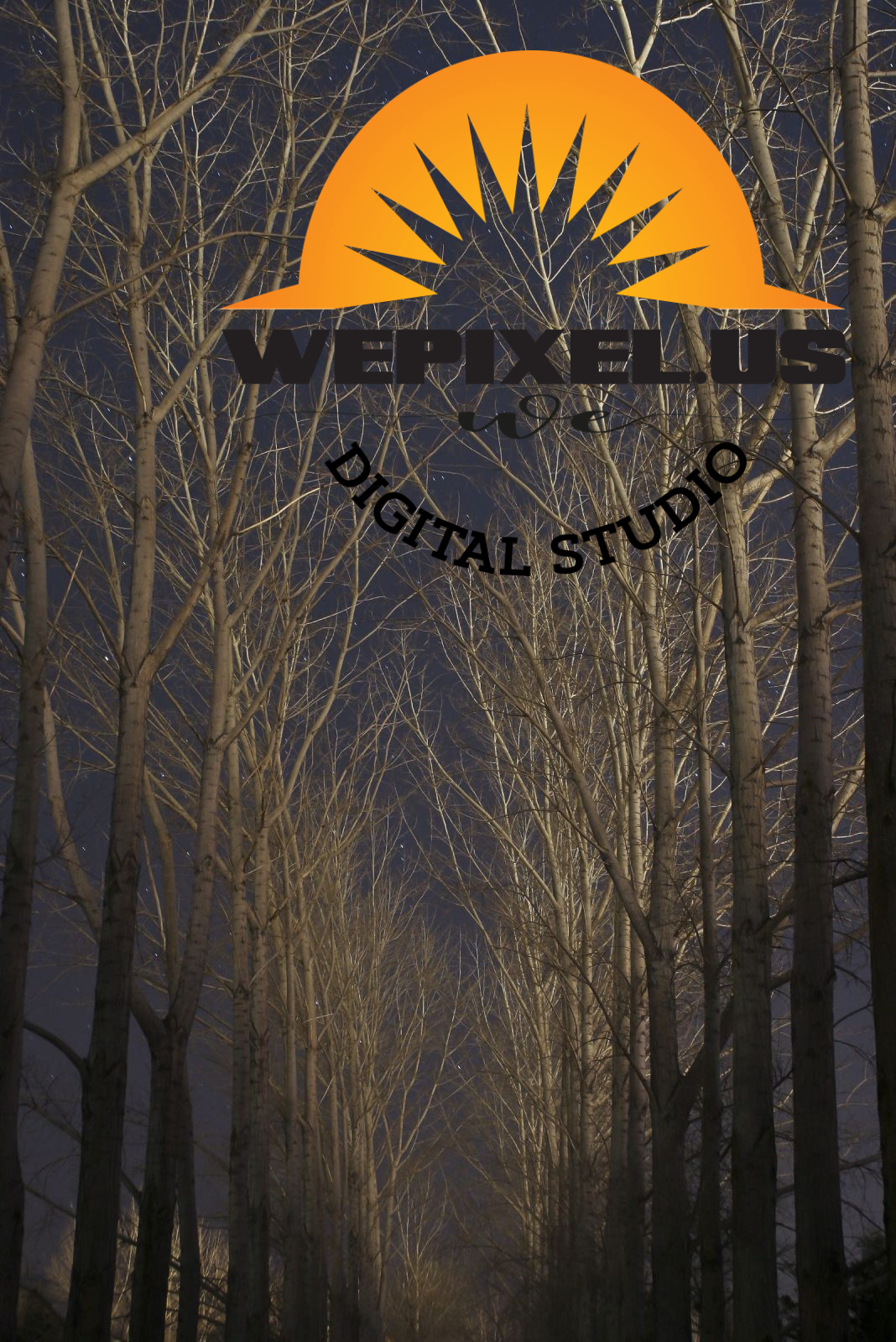 nevada nature gallery 12
