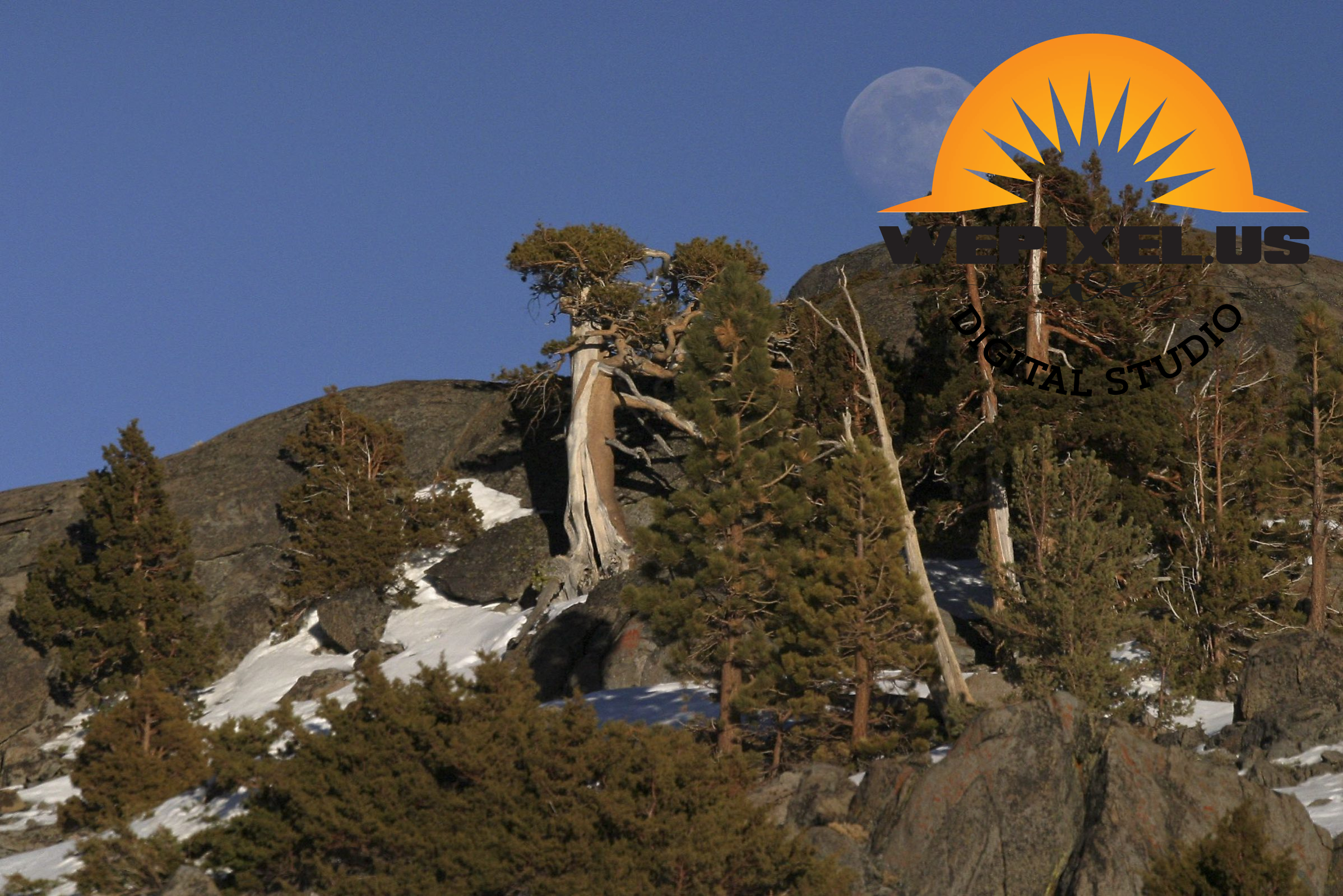 nevada nature gallery 23